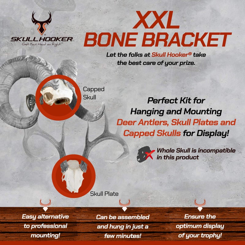 Skull Hooker Powder-Coated Steel XXL Bone Bracket â€“ Designed to Accommodate the Skull Plates of Antlered and Horned Species Such as Elk, Caribou, Buffalo, Moose and Heavy-Horned Sheep,Graphite Black - Image 4